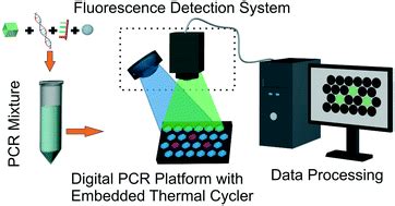 Digital Polymerase Chain Reaction .